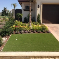 Artificial Grass Campo, California Landscaping Business, Front Yard Landscaping Ideas