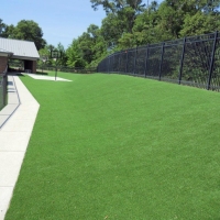 Artificial Grass Carpet Borrego Springs, California Landscape Photos, Commercial Landscape