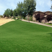 Artificial Grass Carpet Camp Pendleton South, California Rooftop, Front Yard