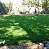 Artificial Grass Carpet Rancho Santa Fe, California Design Ideas, Backyards