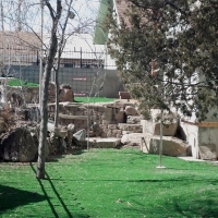 Artificial Grass Installation Valley Center, California Rooftop, Backyard Landscape Ideas