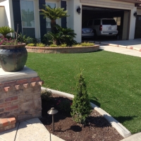 Artificial Grass Spring Valley, California Home And Garden, Front Yard