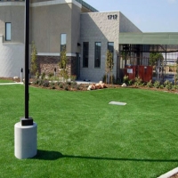 Artificial Lawn Rancho San Diego, California Garden Ideas, Commercial Landscape