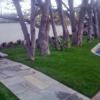 Artificial Lawn Spring Valley, California City Landscape, Front Yard Landscape Ideas