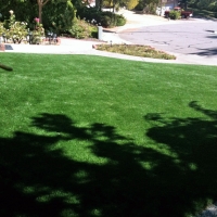 Artificial Turf Coronado, California Home And Garden, Landscaping Ideas For Front Yard