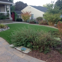 Artificial Turf Cost Borrego Springs, California Lawn And Landscape, Small Front Yard Landscaping