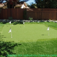 Artificial Turf Installation San Diego, California Landscaping Business, Backyard