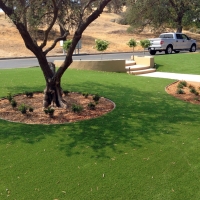 Artificial Turf La Presa, California Landscape Photos, Small Front Yard Landscaping