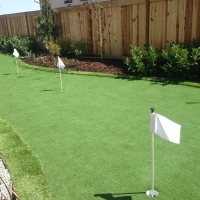 Artificial Turf National City, California Design Ideas, Backyard Landscaping