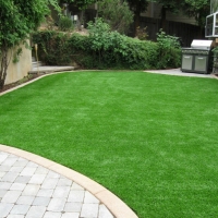 Artificial Turf Poway, California Landscape Ideas