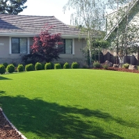 Artificial Turf Vista, California Landscape Design, Front Yard Design