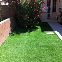 Artificial Turf Winter Gardens, California Garden Ideas, Front Yard Landscaping