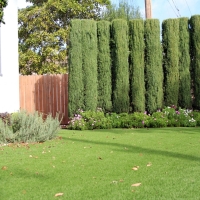 Best Artificial Grass Hidden Meadows, California Landscape Design, Front Yard Landscaping Ideas