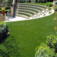 Fake Grass Carpet La Presa, California Landscape Ideas