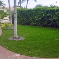 Fake Grass Carpet Rancho Santa Fe, California Gardeners, Front Yard Landscape Ideas