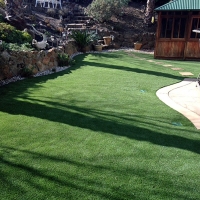 Fake Lawn Oceanside, California Roof Top, Backyard Garden Ideas