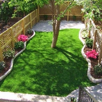 Fake Turf Granite Hills, California Lawn And Garden, Backyard