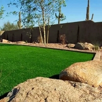 Fake Turf National City, California Landscaping, Backyard Ideas