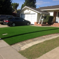 Fake Turf Pine Valley, California Gardeners, Front Yard Landscape Ideas