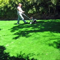 Faux Grass Salton City, California Landscaping Business, Backyard Design