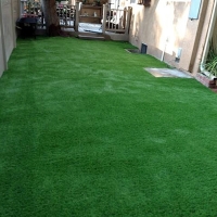 Faux Grass Seeley, California Gardeners, Backyard Landscaping