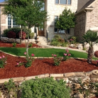 Grass Carpet Bonita, California Roof Top, Front Yard Landscape Ideas