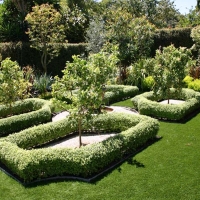 Grass Carpet La Presa, California Home And Garden