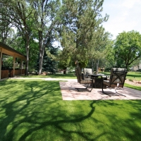 Grass Carpet Spring Valley, California City Landscape, Backyard Landscaping Ideas