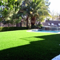 Grass Installation Spring Valley, California Landscaping Business, Backyard Makeover