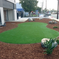 Grass Turf Escondido, California Lawns, Commercial Landscape