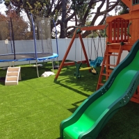 Green Lawn Imperial, California Lawn And Garden, Backyard Ideas