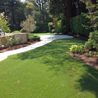 Green Lawn Salton City, California Landscaping Business, Backyards