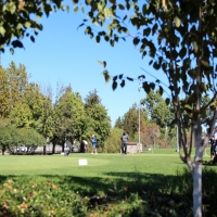 Installing Artificial Grass Alpine, California Diy Putting Green