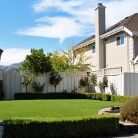 Installing Artificial Grass Borrego Springs, California Landscape Design, Front Yard