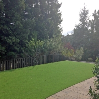 Installing Artificial Grass Niland, California Landscaping Business, Backyard Ideas