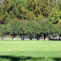 Installing Artificial Grass San Marcos, California How To Build A Putting Green