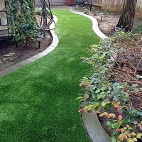 Lawn Services Fallbrook, California Landscape Ideas, Small Backyard Ideas