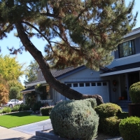 Outdoor Carpet Eucalyptus Hills, California Lawn And Landscape, Small Front Yard Landscaping