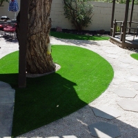 Outdoor Carpet Valley Center, California Design Ideas, Backyard Designs