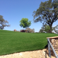 Plastic Grass Pine Valley, California Garden Ideas, Landscaping Ideas For Front Yard