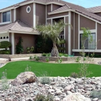 Plastic Grass Rancho San Diego, California Garden Ideas, Small Front Yard Landscaping