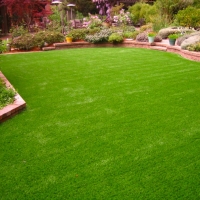 Synthetic Grass La Mesa, California Lawns, Backyard Designs