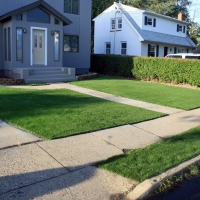 Synthetic Grass Oceanside, California Landscape Photos, Front Yard Landscape Ideas