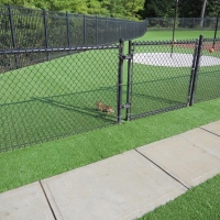 Synthetic Grass Rancho San Diego, California City Landscape, Parks