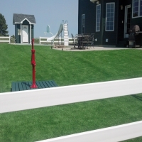 Synthetic Grass Vista, California Home And Garden, Front Yard Landscaping