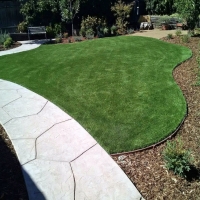 Synthetic Lawn Imperial Beach, California Lawn And Garden, Front Yard Landscaping Ideas