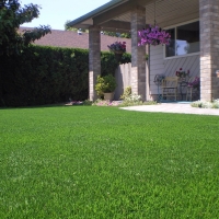 Synthetic Turf Camp Pendleton South, California Lawns, Front Yard Design