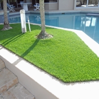 Synthetic Turf Campo, California Design Ideas, Backyard Makeover