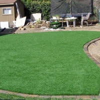 Synthetic Turf Potrero, California Lawns, Backyard