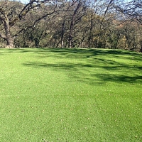 Synthetic Turf Supplier Desert Shores, California Lawn And Garden, Recreational Areas